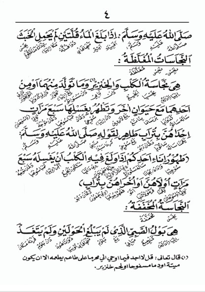 KITAB MABADIUL FIQHIYAH MAKNA GANDUL BAHASA INDONESIA-Permulaan Fiqih, untuk Sekolah Dasar dan Diniyah preview 2