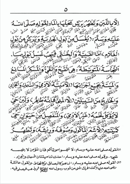 KITAB MABADIUL FIQHIYAH MAKNA GANDUL BAHASA INDONESIA-Permulaan Fiqih, untuk Sekolah Dasar dan Diniyah preview 3