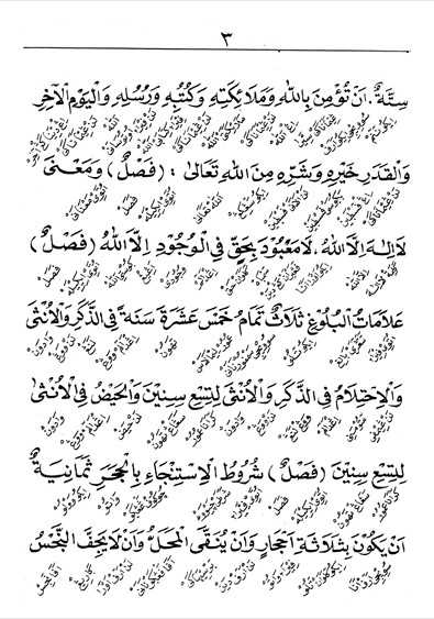 KITAB SAFINATUN NAJAH MAKNA GANDUL JAWA PEGON preview 2